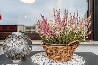 Szafranzimmervermietung - 8