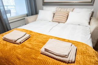 Cozy City Apartment with Private Sauna and Parking - 4