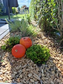 Ferienwohnung bei Tanja und Marcus - 2