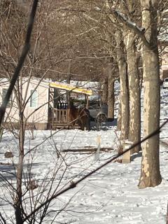 Le mobilhome Chez Camille - 7