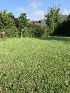 Ferienhaus Friedrichskoog - Spitze - 1