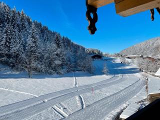 Apartment Bergglück Wildschönau - 6