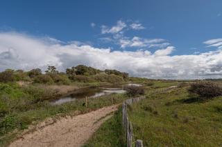 La maison aux volets bleus - 8