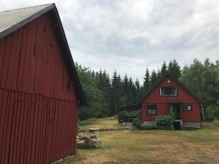 Pretty holiday house in the woods close to lake - 3