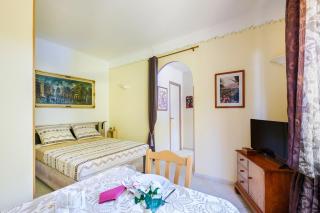 Grand studio Bougainvillée - 7