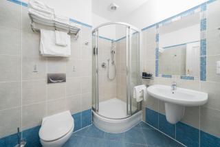 Comfortable classic apartment in European style in Prague - 5