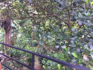 Nature Villa Harumalgoda - 6