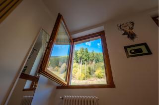 Happy Guest Apartments - Casa Alpi Orange - 2