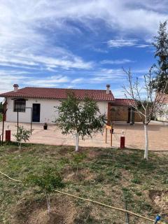 Maison location tlemcen - 7