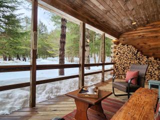 Stylish Forest Lodge with Large Hot Tub, Firepit and Fireplace minutes to Gore Mountain - 7