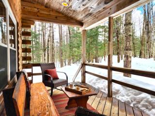 Stylish Forest Lodge with Large Hot Tub, Firepit and Fireplace minutes to Gore Mountain - 8
