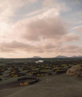 Canaryislandshost I Viñedos - 1