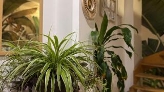 Tanny Boho Housy na pešej zóne - 3