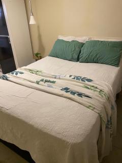 Casa com bichinhos cachorros e gatinhos - 2