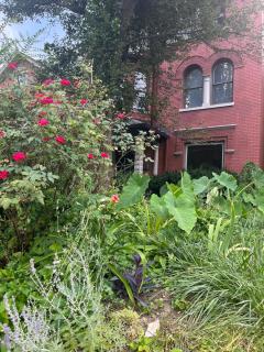 Historic Old Louisville Creative Retreat w Large Fenced Yard - 5