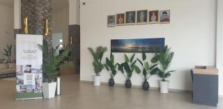 The Mangrove at Carey Circles - 1