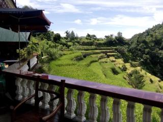 Bogah Lodge - Banaue - 5