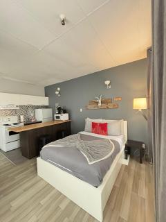 Urban Loft, St-Joseph St - 0