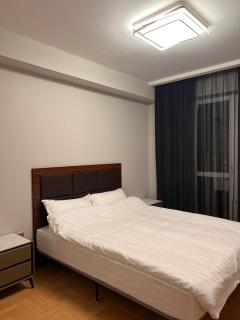 Cozy Downtown Apt in UB - 4