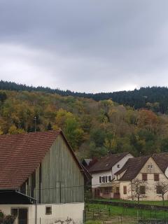 Les studios du frankenthal - 9