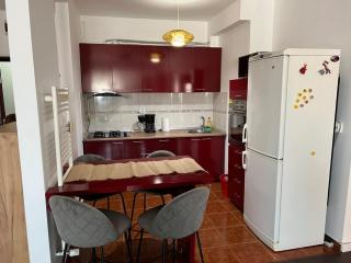 Cozy apartment in Marasti -Cluj - 5