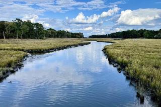 3BR-2BA amazing outdoors close to everything - 4