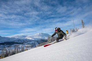 Luxurious 4 bedroom Mountain Cabin with Gaustatoppen View - 8