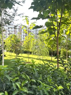 Tashkent city Boulevard resident 04 - 2