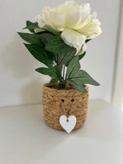 Traumhafte 3 Zimmer Ferienwohnung mit Balkon - 9