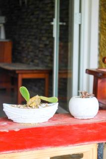 Secret View Homestay Ella - 2