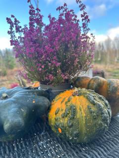 Holiday home Kolmårdsgården - 4