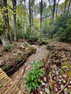 Hidden Creek Cabin at MontEagle - 4