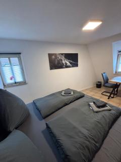 Der OXE am Maindreieck - 7