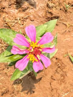 The Happy Hangout-Luxe Stay - 5