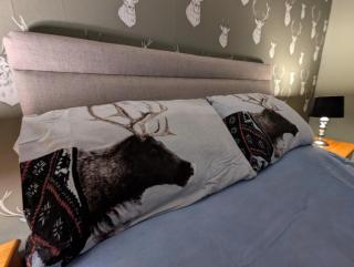 Foggiehoose based near Turriff Huntly Banff - 6