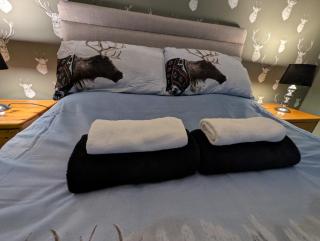 Foggiehoose based near Turriff Huntly Banff - 8