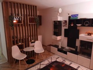 Stan na dan-Vasilije - 5