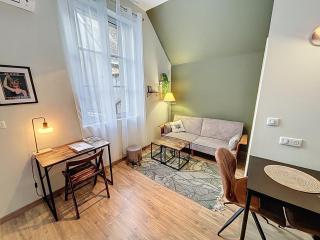 Le Trinity tout confort avec parking privé au centre ville - 7