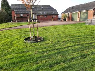 Vakantie woning Drenthe - 2