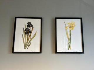 Apartament Akacja CENTRUM - 4