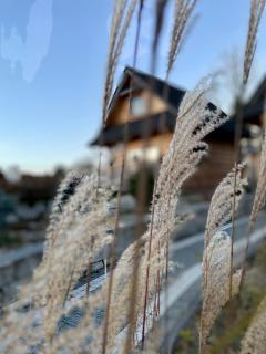 Domki Na Wypasie Jacuzzi & Sauna - 8