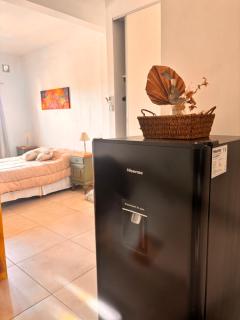 Experiencia Brown a Mtros Sanatorio Juncal - 2