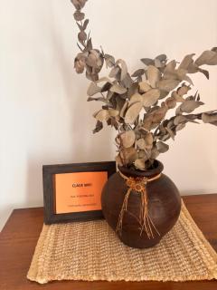 Experiencia Brown a Mtros Sanatorio Juncal - 1