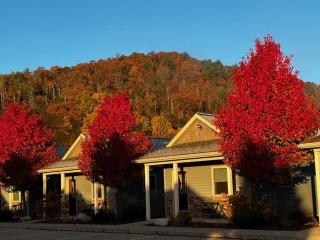 Vista Lodge Benton PA near Ricketts Glen State Park - Benton - 0