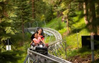 Central AC, Updated 4 BR, 4-5 BA Townhouse, Pool - 9