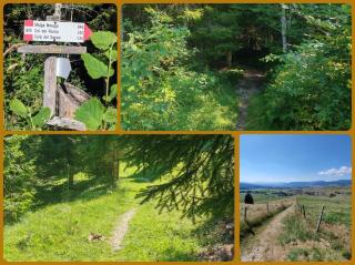 Altopiano di Asiago Apartment - Ronchi - 3