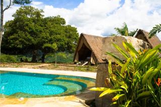 Parque del Mango Tipis - 1