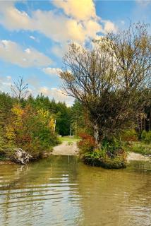 Wild Escape Racha - 8