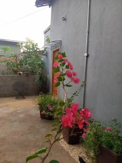 Jardim Primavera - 7