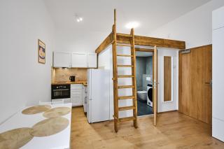 Sokolska apartment - 9